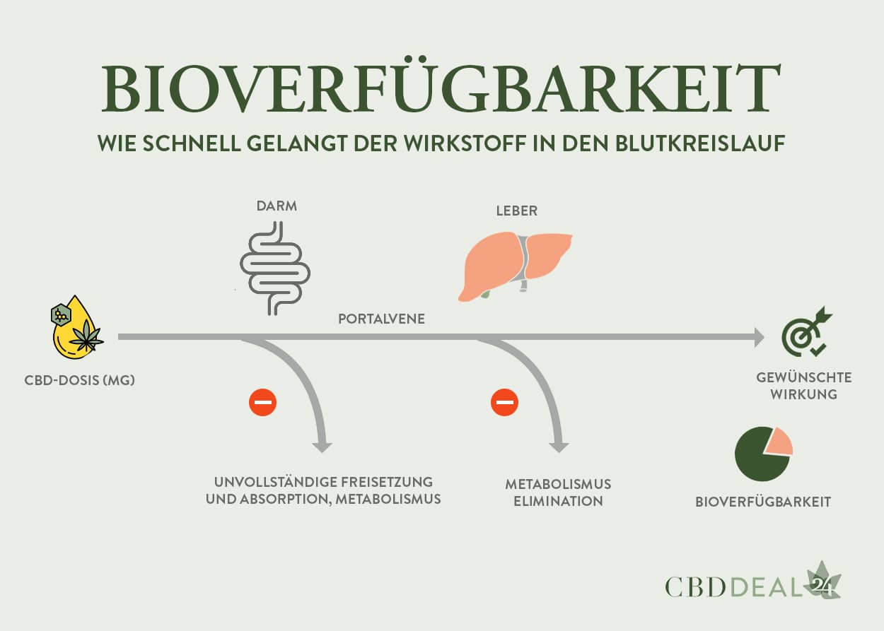 Bioverfügbarkeit bei der sublingualen CBD Öl Einnahme