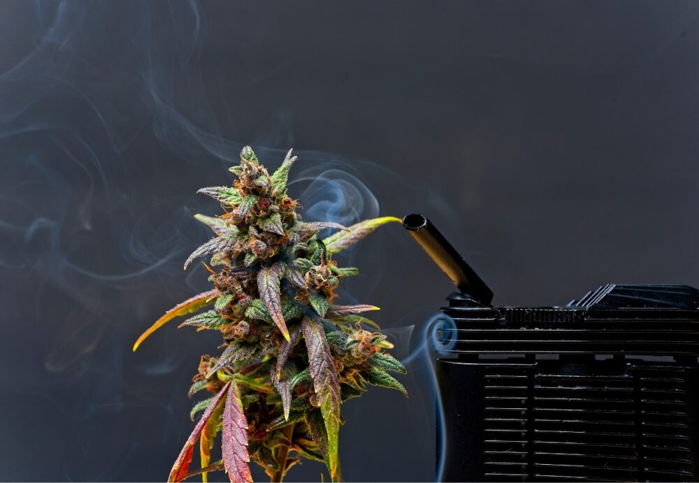 Cannabis verdampfen