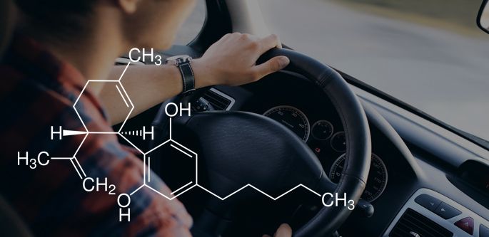 CBD Autofahren