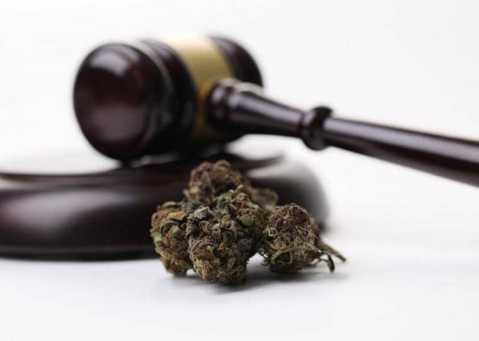 CBD Novel Food Verordnung