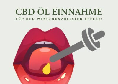 CBD Öl Einnahme