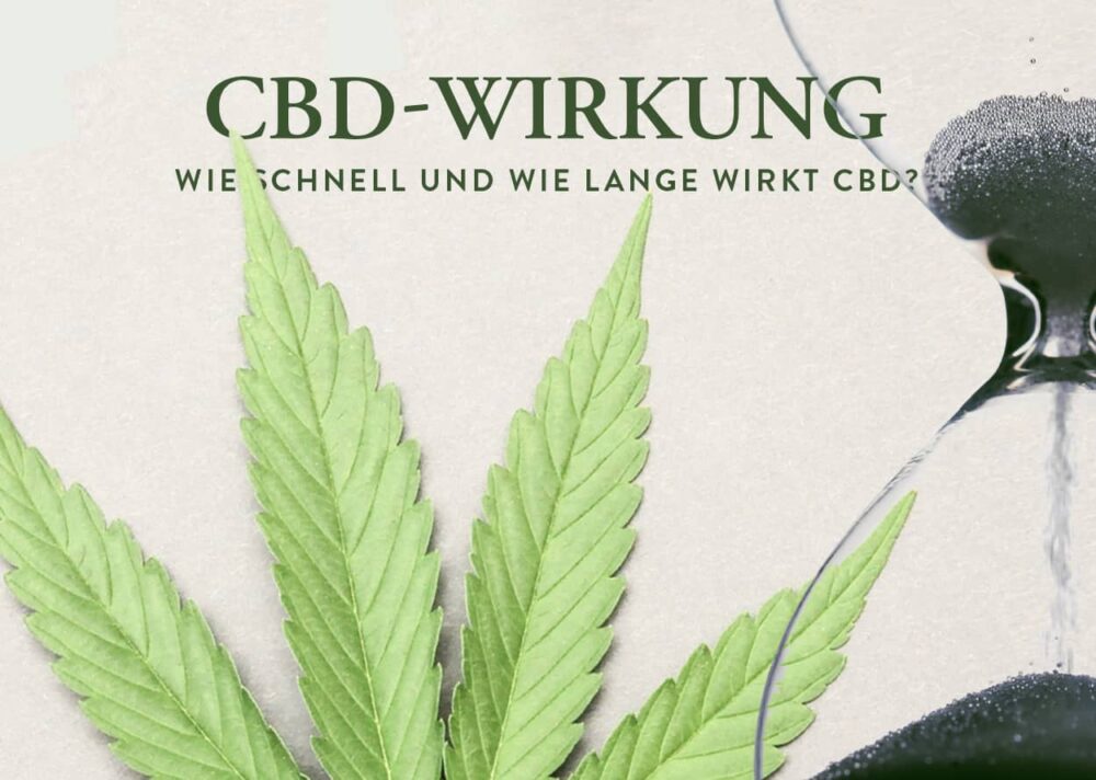 CBD Wirkung