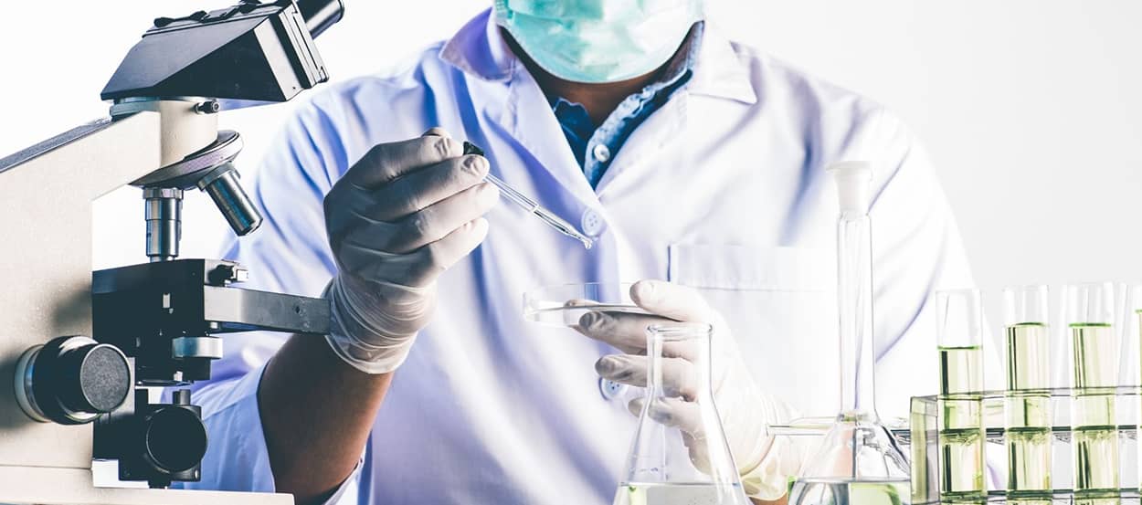 Entdeckung des Endocannabinoid-Systems