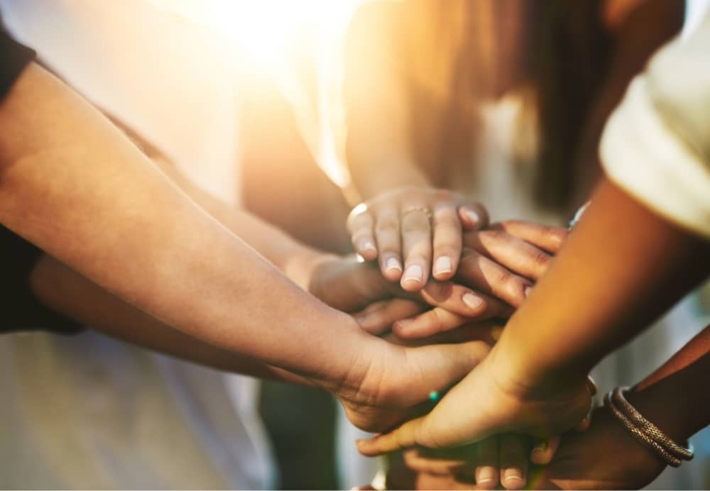 Entourage Effekt Bedeutung