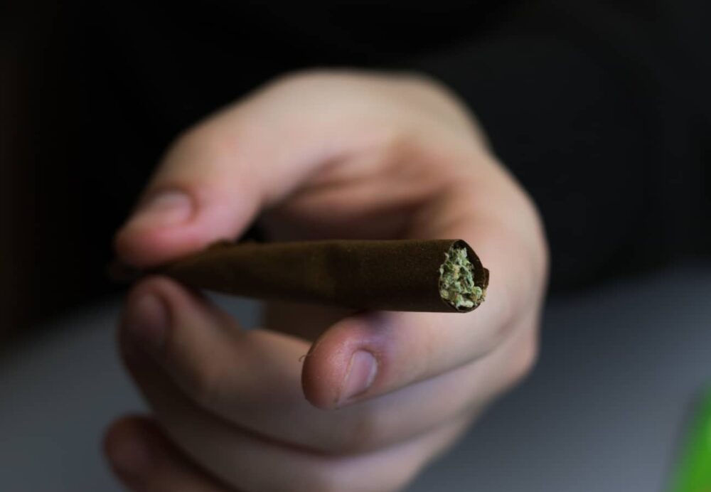 Langzeitfolgen Cannabiskonsum auf das Gehirn