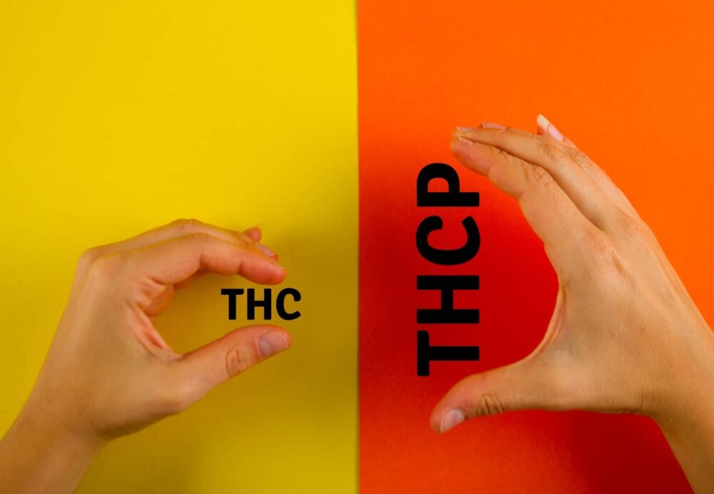 THC vs. THCP