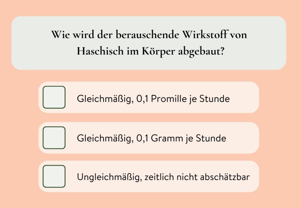 Wie wird der berauschende Wirkstoff von Haschisch im Körper abgebaut?