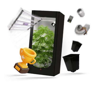 Beste Growbox Komplettset