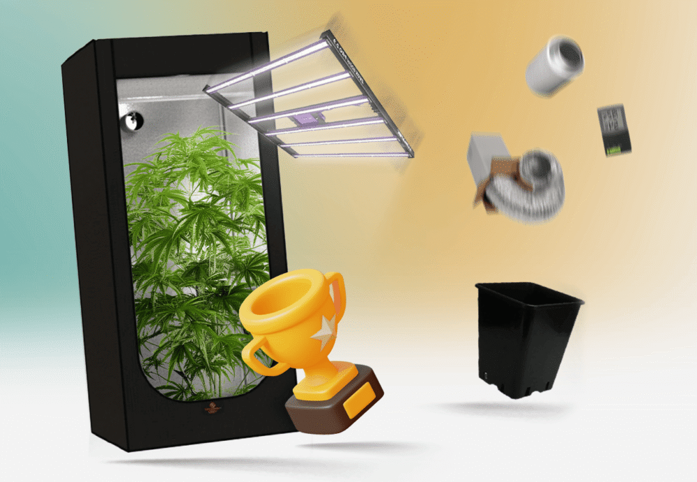 Bestes Growbox Komplettset finden