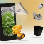 Bestes Growbox Komplettset finden