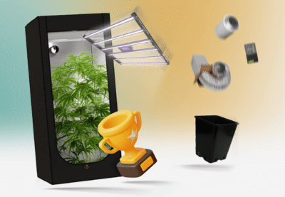 Bestes Growbox Komplettset finden