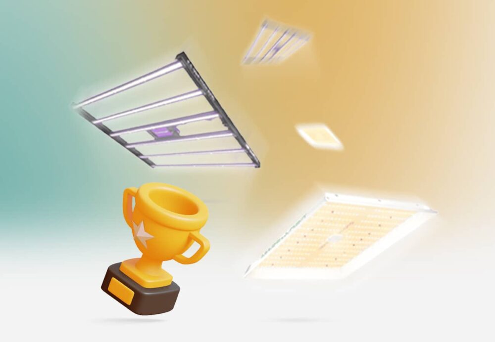 Beste LED Grow Lampe im Test