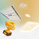 Beste LED Grow Lampe im Test