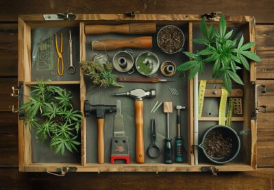 Growbox selber bauen