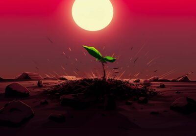 Cannabis Keimlinge & Sämlinge richtig großziehen