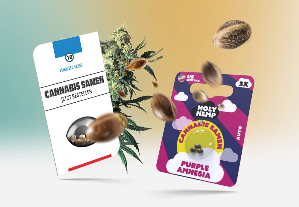 Sind Cannabis Samen legal?