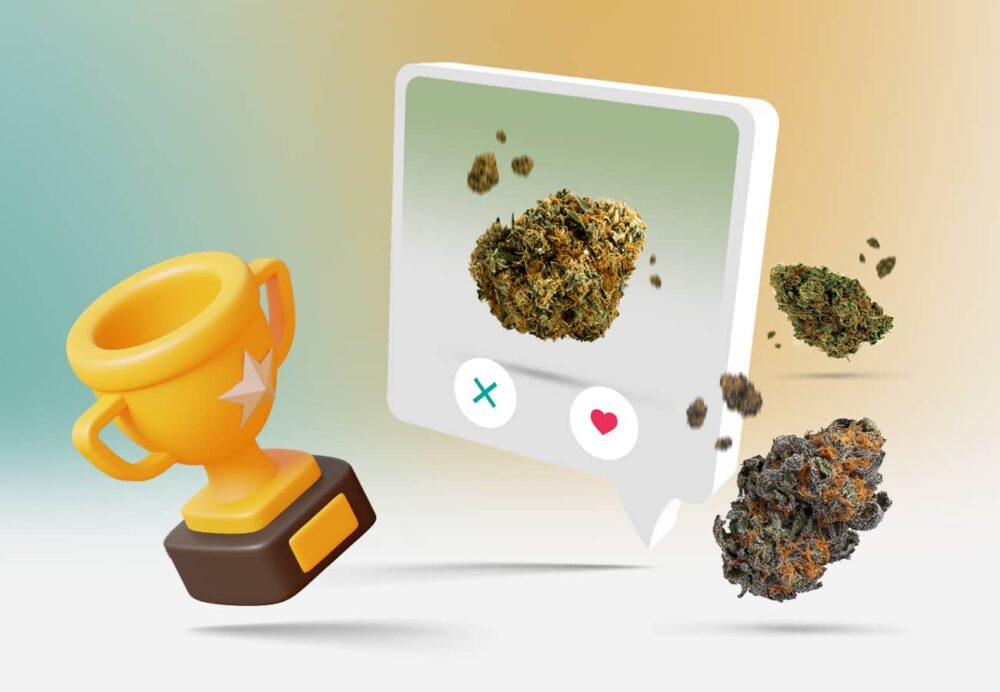 Beste Cannabissorten im Vergleich
