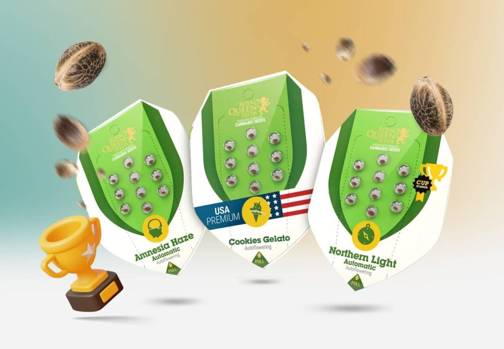 Cannabissamen für Anfänger Vergleich