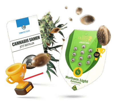 Hanfsamen bestellen beste Seite