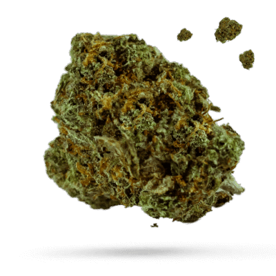 12 Year OG - Cannabissorte