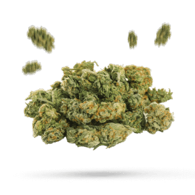 13 Dawgs - Cannabissorte