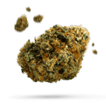 33 Bananas - Cannabissorte