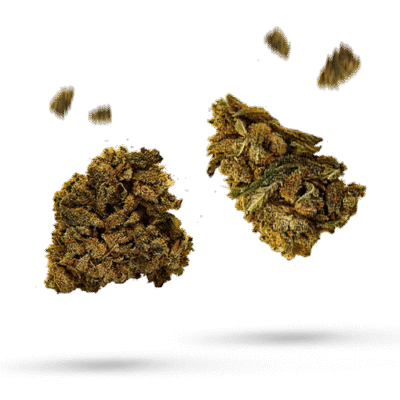 420 Carat - Cannabissorte