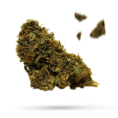 5 Star - Cannabissorte