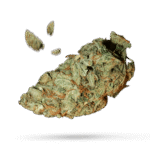 White Widow - Cannabissorte