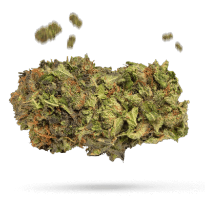 Abusive OG - Cannabissorte