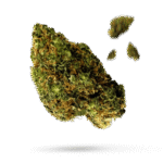 Afghani - Cannabissorte