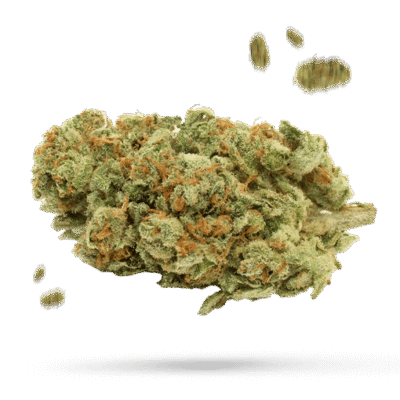 AK-47 - Cannabissorte