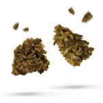 Amnesia Lemon Haze - Cannabissorte