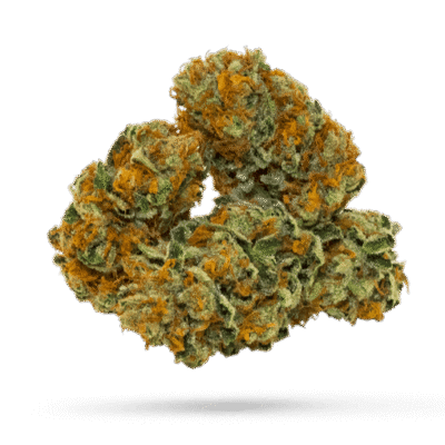 Appalachia - Cannabissorte