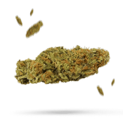 Banana Kush - Cannabissorte