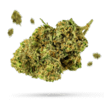 Big Band - Cannabissorte