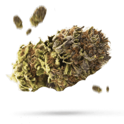 Blue Monster - Cannabissorte