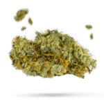 Brooklyn Mango - Cannabissorte