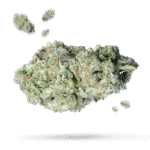 Bubba Cheese Auto - Cannabissorte