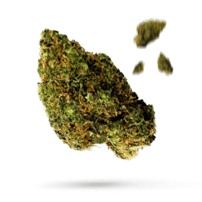 Bubble Gum - Cannabissorte