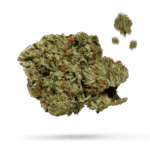 California Orange - Cannabissorte