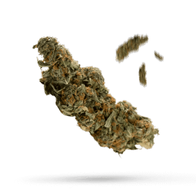 Candy Cane - Cannabissorte