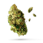 Candy Rain - Cannabissorte