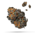 Cereal Milk - Cannabissorte