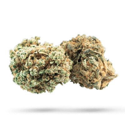 Cheesecake - Cannabissorte