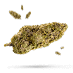 Chemdawg - Cannabissorte