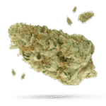 Cherry Pie Kush - Cannabissorte