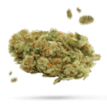 Cherry Runtz - Cannabissorte