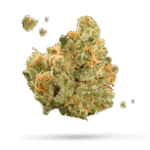 Choco Grape Diesel - Cannabissorte