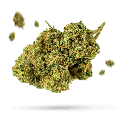 Cookies Kush - Cannabissorte